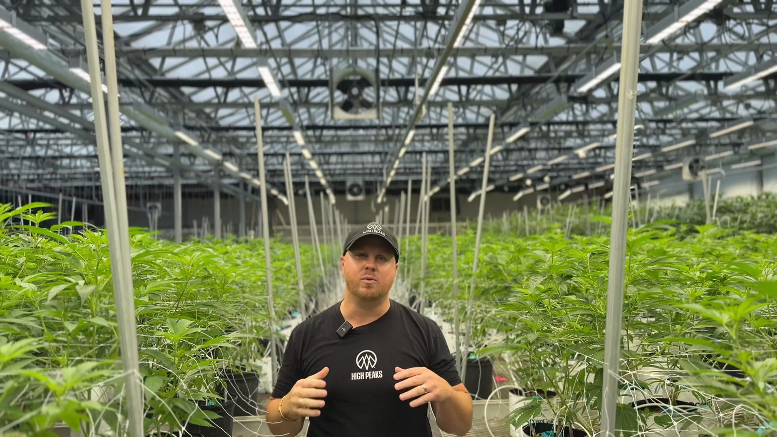 John Vavalo in the Central Processors NY greenhouse