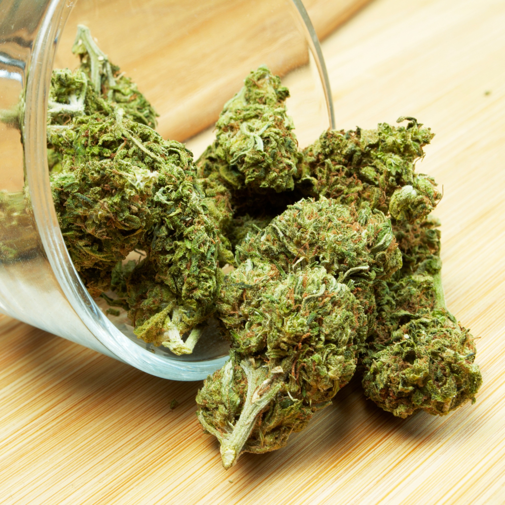 High Peaks Cannabis