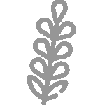 vector icon of lavender