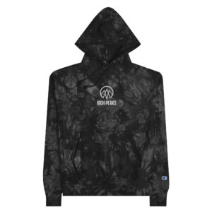 Graphite Embroidered Champion Hoodie